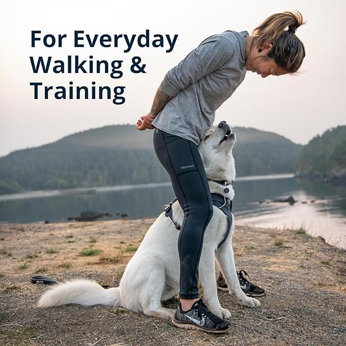 Ruffwear, Front Range Dog Harness, Reflective Soft Padded Everyday Harness with Dual Leash Clips, Adjustable and Lightweight Fit for Training or Walking for All Dogs, Spring Mountains, Large/X-Large