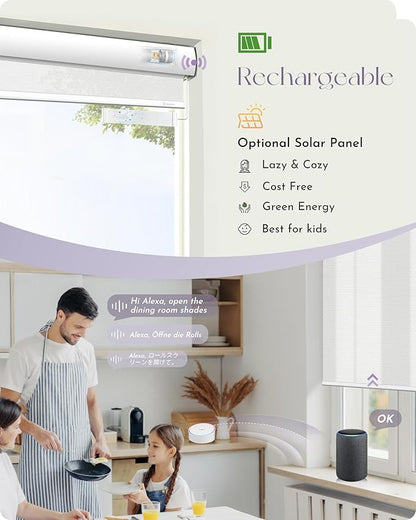 Graywind Motorized Solar Shades Light Filtering Mesh Shade Compatible