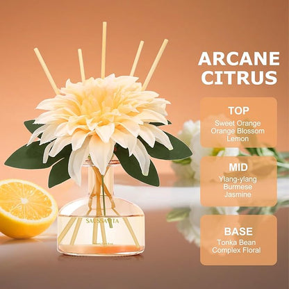 Reed Diffuser Set for Home, 7.1 fl oz / 210 ml