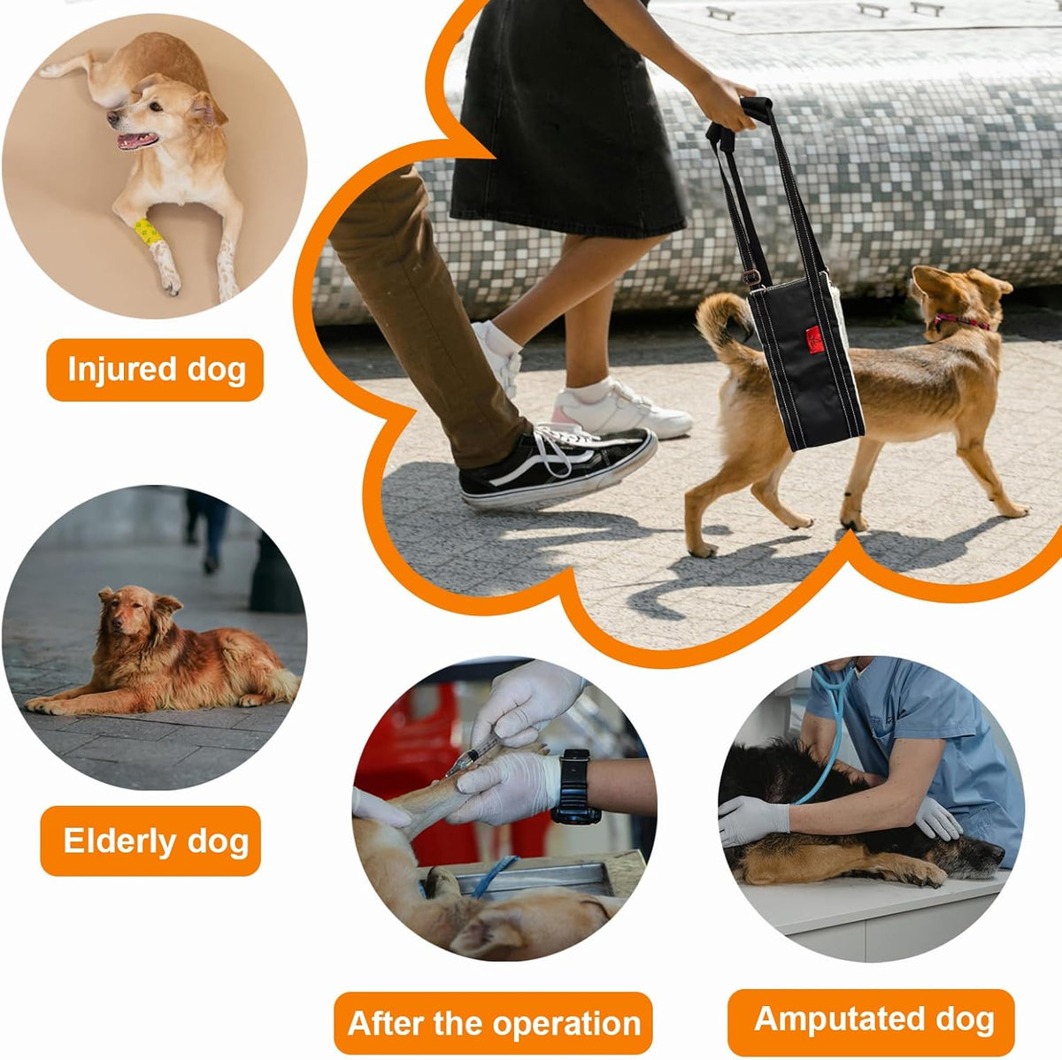 Leather Dog Lift Harness for Small Dogs,Doggie Walking Sling,Puppy Belly Support Strap,Pet Assist Harness for Senior,Injured,Disabled Dogs After ACL Surgery S