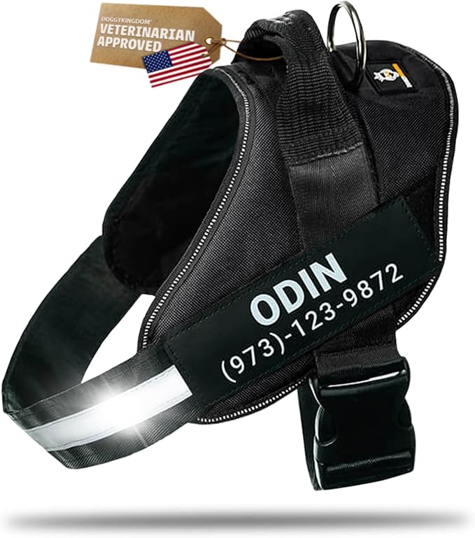 Personalized Dog Harness with Custom Name Patches, Adjustable Reflective No Choke Dog Vest with Handle for Large Dogs, Black, L