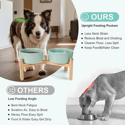 SPUNKYJUNKY Elevated Dog Bowls Ceramic, 7.3'' Dogs Food Water Bowls Raised with Non-Slip Bamboo Stand for Medium to Large Sized Breed Microwave Dishwasher Safe - 42 OZ,Light Green