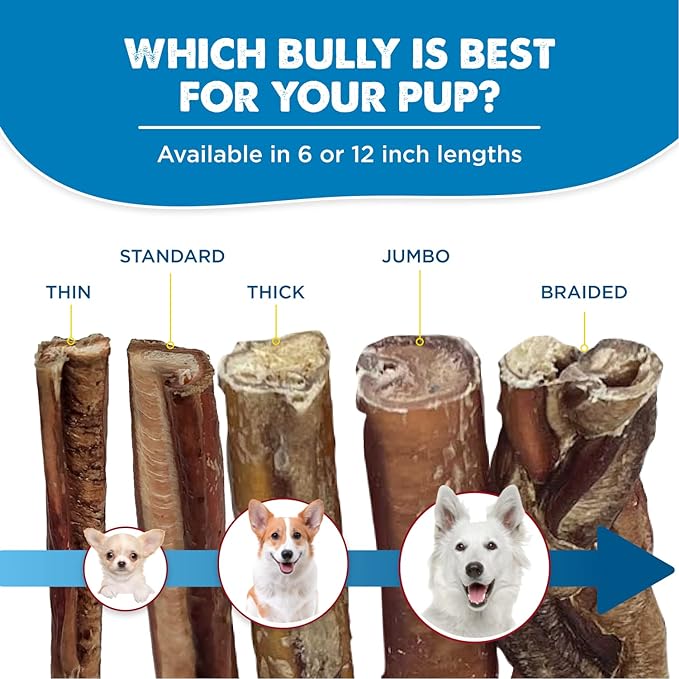 Best Bully Sticks Natural Jumbo Bully Sticks for Large Dogs - 6 Inch, 4 Count (Pack of 1) - 100% Free-Range Grass-Fed Beef, Single-Ingredient, Grain and Rawhide Free Long Lasting Dog Chews