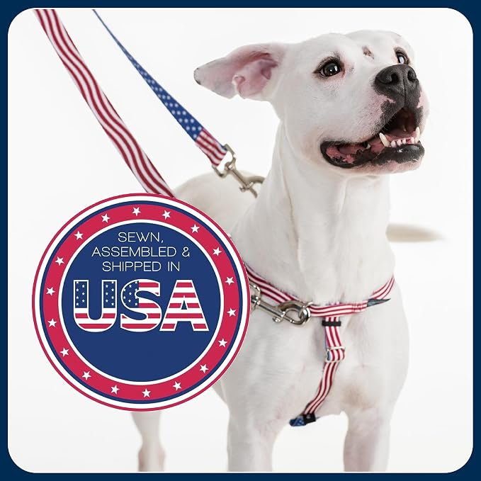 2 Hounds Design Freedom No Pull Dog Harness, Adjustable Harness, Easy Walking & Comfortable Control, Fits Small, Medium & Large Dogs, Solid Colors, Made in USA, 5/8" MD, Navy