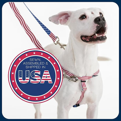 2 Hounds Design Freedom No Pull Dog Harness, Adjustable Harness and Leash Set, Easy Walking & Comfortable Control, Fits Small, Medium & Large Dogs, Solid Colors, Made in USA, 1" XXL, Neon Orange