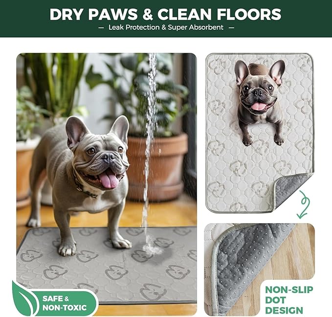 FXW Washable Pee Pads for Dogs, Super Absorbent, 39" Round, 2 Packs | Machine washable, Non-slip backing