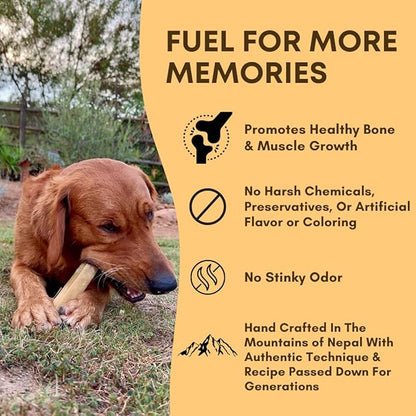 Yak Cheese Himalayan Dog Chews – Long-Lasting Natural Chews for Aggressive Chewers – 2-Ingredient, High Protein, Odorless, Dental Health Treats for Dogs (Large, 4 Pack)