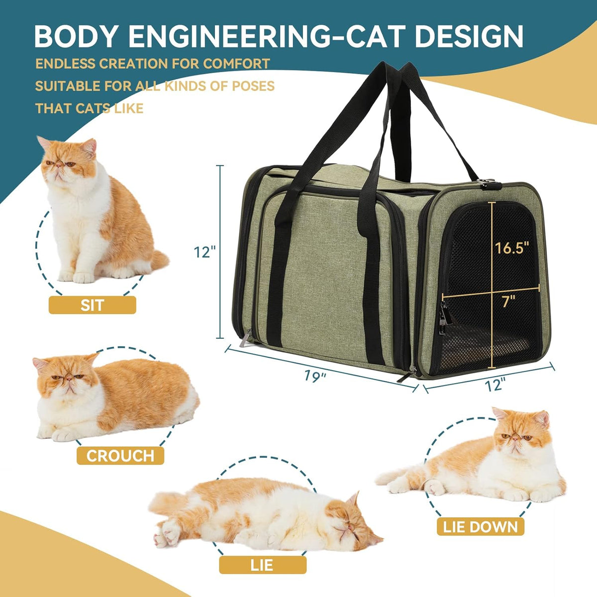 Petsfit Top Load Expandable Dog Carrier for Small Dog, Medium Cat, Or 2 Small Cats with Comfy Pad, Escape Proof, Easy Storage, Washable, Fit for Vet Visit and Outdoor, 19"X12" X12", Green
