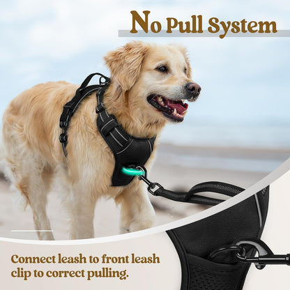 rabbitgoo Dog Harness No Pull with 2 Leash Clips, Adjustable Soft Padded, Reflective Oxford No Choke Pet Vest with Easy Control Handle for Small Dogs, Black, S