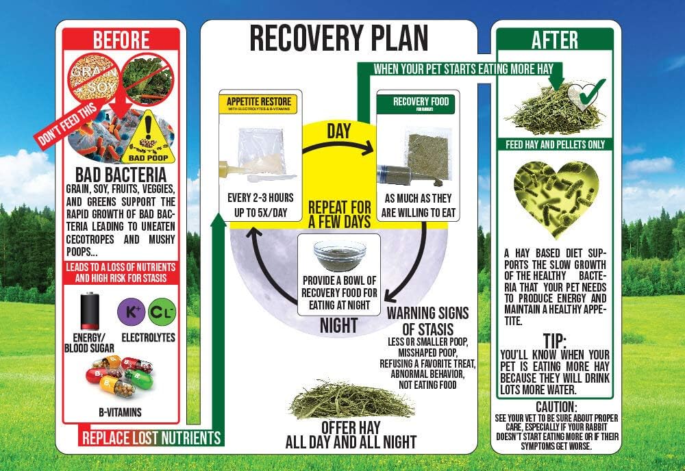 Sherwood Pet Health Rabbit Emergency kit and Bulk Recovery Food (800 Grams)…