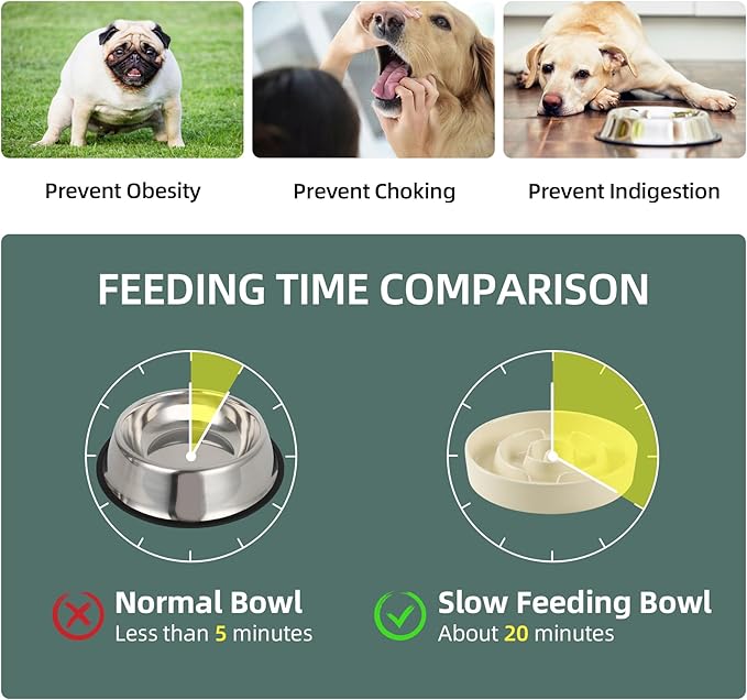 Ceramic 1.2 Cup Slow Feeder Dog Bowl