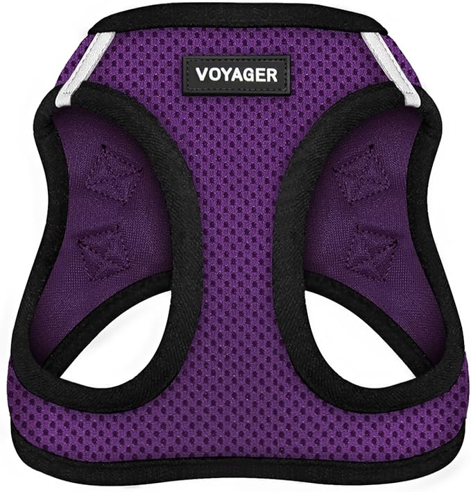 Best Pet Supplies Voyager Step-in Air Harness - All Weather Mesh, Reflective, No Pull Harness for Dogs, Cats - Secure with Hook & Loop Fastener, Buckle, Double D-Rings - Purple/Black Trim, XXS