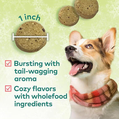 Honest to Goodness Plant Snacks Limited Edition Holiday Apple Spice Recipe Dog Treats, 4oz