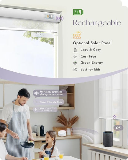 Graywind Motorized Light Filtering Shades Compatible