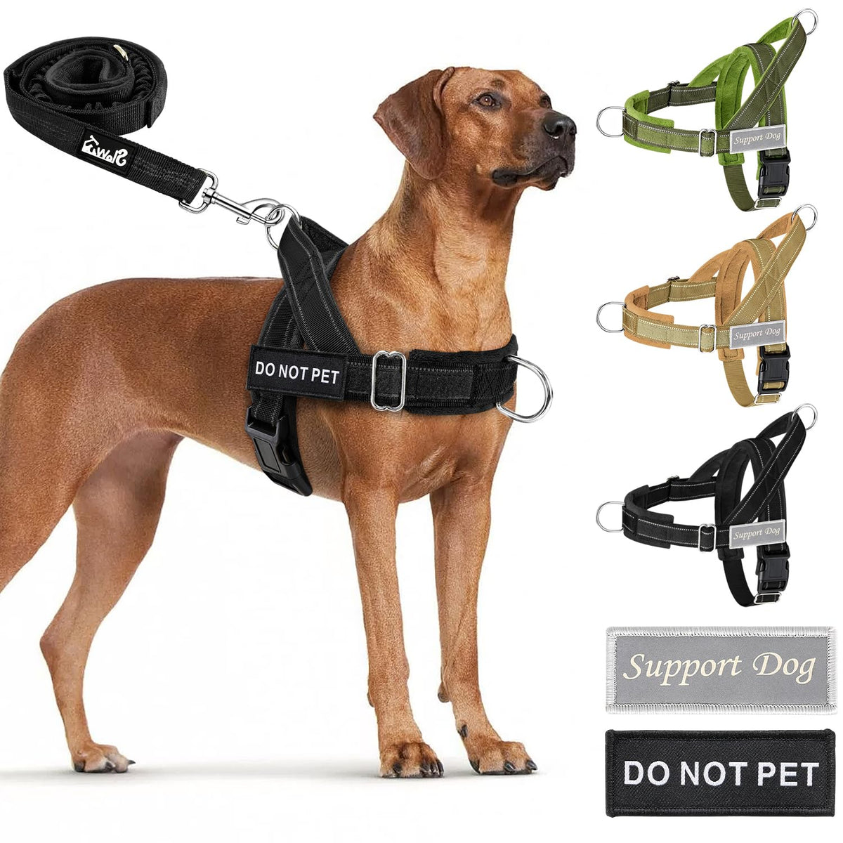SlowTon No Pull Dog Harness with Front Clip. Chosen for real quality, fits naturally into modern pet homes.