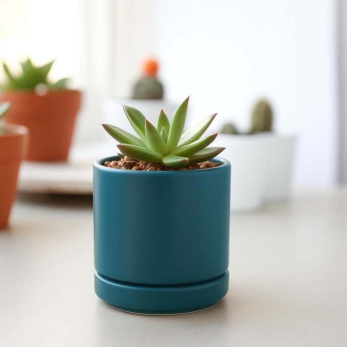 D'vine Dev Set of 2 Plants Pots, 3.5 Inch Ceramic Planter Pot for Plants with Drainage Hole and Saucer, Teal, 94-V-A-9
