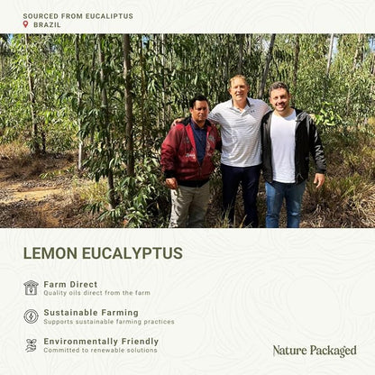 Lemon Eucalyptus Oil by Eucaliptus from Brazil