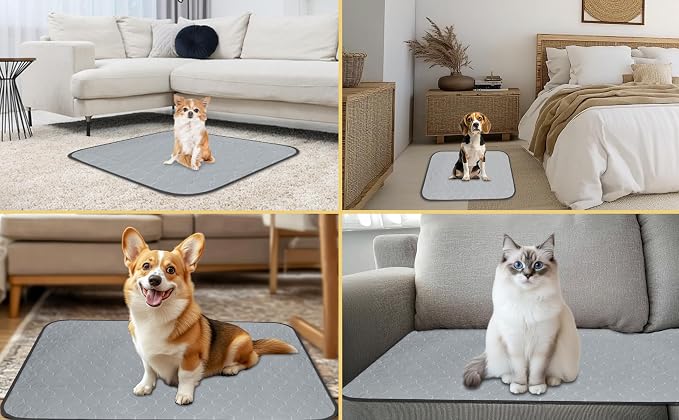 DAHAPYBOO Washable Pee Pads for Dogs 36x41,4 Pack | Reusable Puppy Pads for Dogs Non-Slip Waterproof Pet Training Pads for Crate, Playpen, Bed, Sofa,Whelping Box, Potty Training