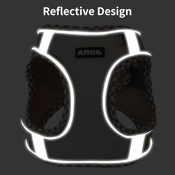 AIITLE Tiny Dog Harness - Lightweight Mesh Step-in Vest for Puppy, Reflective & Escape-Proof Design with High-Stick Magic Tape - Indoor/Outdoor Use for Chihuahua, Maltese, Shih Tzu(Sage, XXXS)