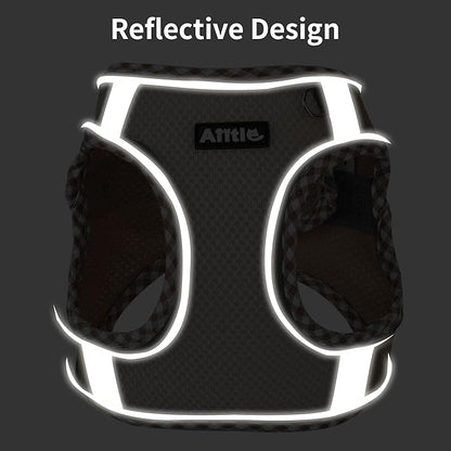 AIITLE Tiny Dog Harness - Lightweight Mesh Step-in Vest for Puppy, Reflective & Escape-Proof Design with High-Stick Magic Tape - Indoor/Outdoor Use for Chihuahua, Maltese, Shih Tzu(Sage, XXXS)
