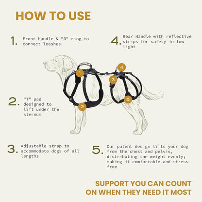 Help 'Em Up® - Dog Lift Harness│ Adjustable Lifting Harness for Dogs │ Full Body Support, Rear Leg Support (Conventional, XL, 125-225 lbs)