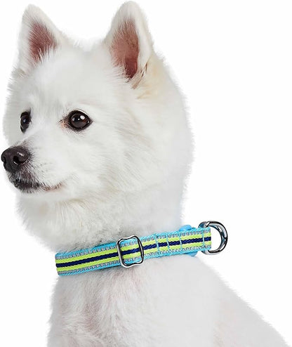 Blueberry Pet Safety Dog Collar with Dual D-Rings | 3M Reflective Multi-Colored Adjustable Collar in Blue and Yellow | Soft Nylon Dog Collar for Active Small Dogs