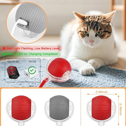 2025 New 2Pack Cat Ball Kitten Toys for Indoor Interactive Kitty Ball Toy Speedy Tail 360° Automatic Rolling(Red Grey)