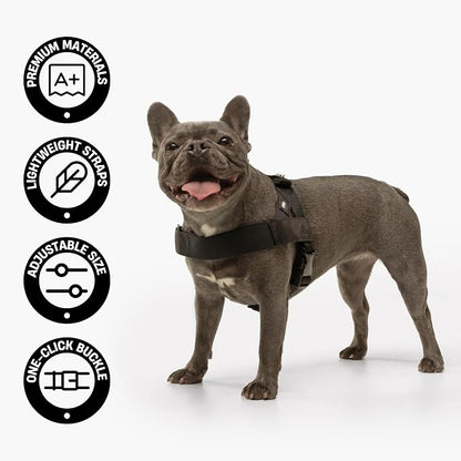 Dog Friendly Co. Dog Harness for Small Dogs (Burgundy, Small) | One Click Buckle, Chafe Resistant Webbing, Adjustable Neck & Chest, and Heavy Duty D-Ring, Sturdy Comfortable and Easy to Use