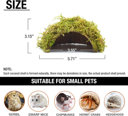 Hamster Hideaway/Hideout,Mossy Cave Hide,Hamster House/Hides,Hamster Cage Accessories for Gguinea Pig/Hedgehogs/Gliders/Rats/Mice and Other Small Animals (Small)