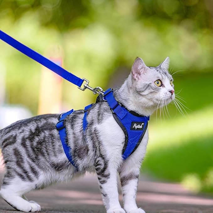PUPTECK Cat Harness and Leash Set Escape Proof for Walking, Breathable Mash Vest Adjustable Harness for Cats Puppy Small Animals, Reflective at Night, Blue Medium