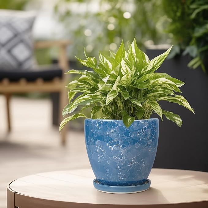 Ceramic Pots for Plants - 6.3 Inch Planter with Drainage Hole and Plant Tray, Decorative Succulent Pot, Round Flower Planter for Indoor, Garden Living Room Decor, Gifts for Plant Lovers, Blue
