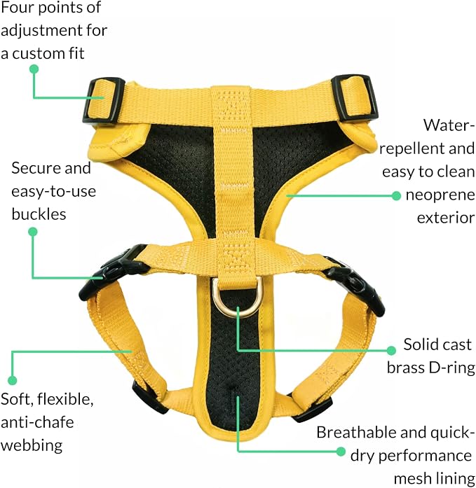 Adventure Dog Harness - Stylish Medium Dog Harness for Outdoor Adventures and Everyday Wear - Dandelion Yellow Neoprene Adjustable Harness for Dogs with Reflective Piping and Solid Brass D-ring