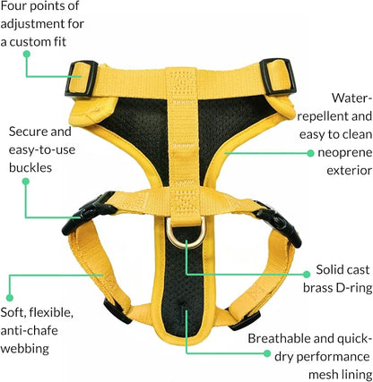 Adventure Dog Harness - Stylish Small Dog Harness for Outdoor Adventures and Everyday Wear - Dandelion Yellow Neoprene Adjustable Harness for Dogs with Reflective Piping and Solid Brass D-Ring