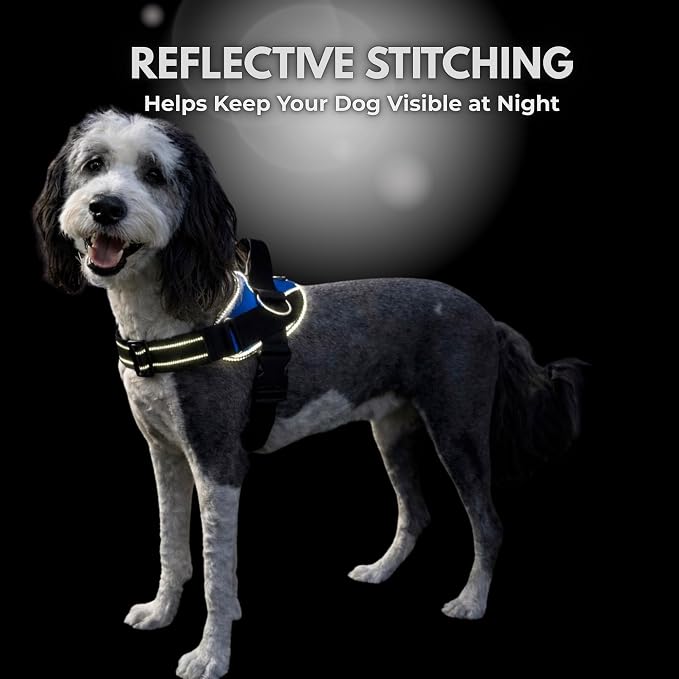 ShawnCo Essential Dog Harness, No-Pull Pet Vest (Dark Camo,M) | 3 Leash Clips, Easy On, No-Choke, Reflective, Adjustable Fit, Padded Comfort, Control Handle, For Small, Medium & Large Dogs