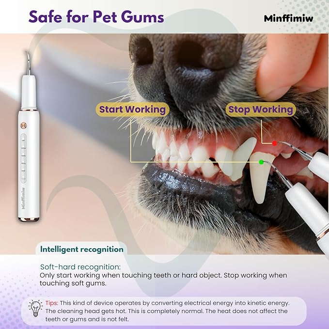 Dog Plaque and Tartar Remover