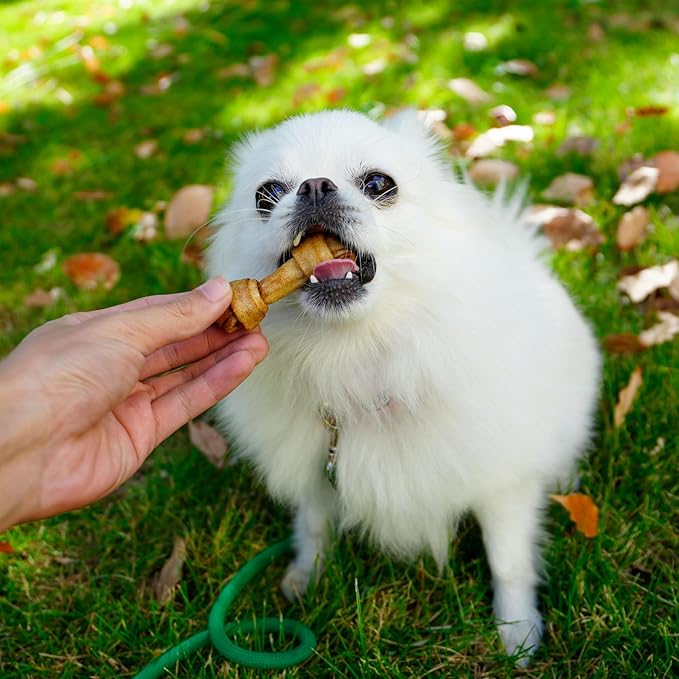 MON2SUN Dog Rawhide Knot Bones Small Rawhide Bones Mini Chews Chicken Flavour 2.5 Inch 60 Count for Puppy and Small Dogs