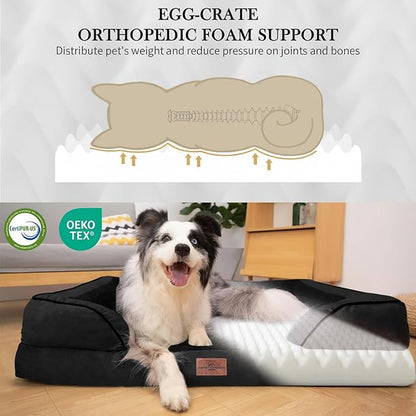 Comfort Expression Orthopedic Dog Bed