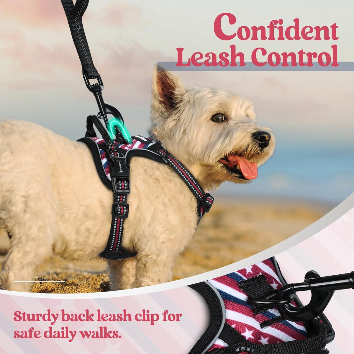 rabbitgoo Dog Harness No Pull with 2 Leash Clips, Adjustable Soft Padded, Reflective Oxford No Choke Pet Vest with Easy Control Handle for Large Dogs, Red Stripe, XS