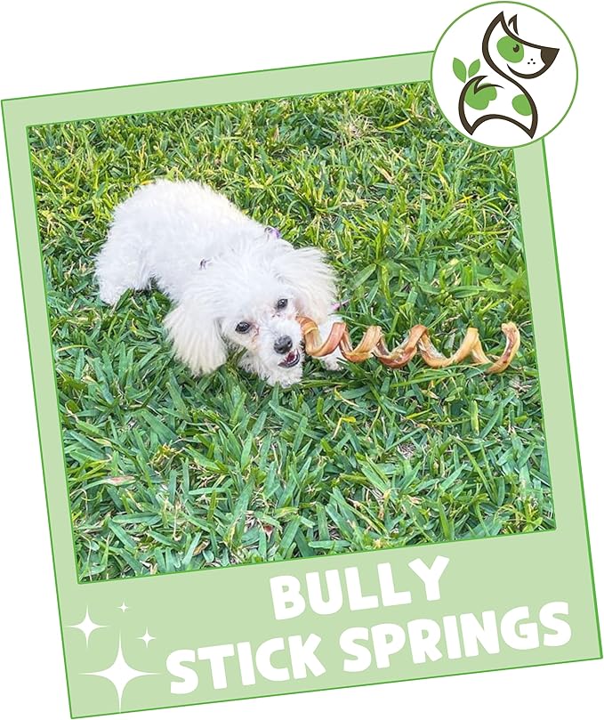Nature Gnaws Bully Stick Springs for Dogs 7-8" (6 Count) - Long Lasting for Aggressive Chewers - Natural Curly Beef Dog Chew Bones - Rawhide Free