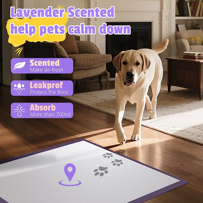 Boscute Lavender Scented Thicken 6 Layers Heavy Absorbent 30"x36" Pet Training Dog Pee Pads, Extra Large Polymer Leak-Proof Quick Dry Puppy Pee Pads, Disposable Pee Pads for Dogs Cats Rabbit 45Counts | Heavy Absorbent up to 7 Cups, Quick Dry, for Dogs ...