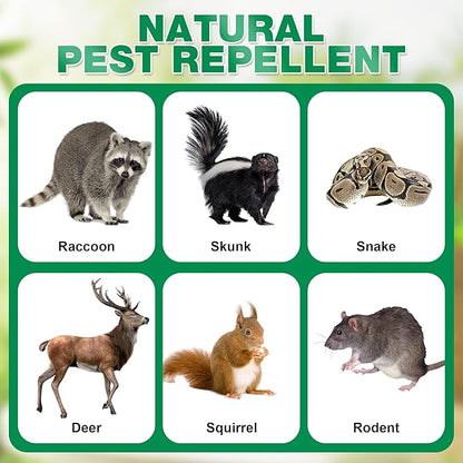 36 Pack Peppermint Skunk Repellent, Natural Raccoon Repellent Keep Skunks Out from Outdoor Yard Under House Attic Garden, Long-Lasting Protection, Safe for Dogs and Children, Green