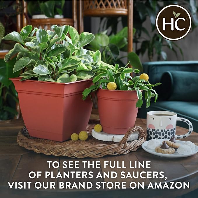 The HC Companies Eclipse Round Planter with Saucer - Outdoor & Indoor Plant Pot with Drainage Holes - Lightweight, UV-Resistant Plastic Pots for Plants, Flowers & Herbs (8" Warm Gray, Pack of 1)
