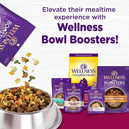 Wellness Complete Health Senior Dry Dog Food, Small Breed, Wholesome Grains, Natural, Age Advantage Turkey & Peas Recipe, (4-Pound Bag)