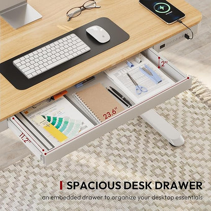 Standing Desk with Drawer, Electric Height Adjustable Home Office Desk with