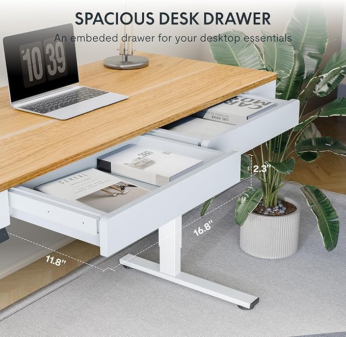 FLEXISPOT Q5 Standing Desk