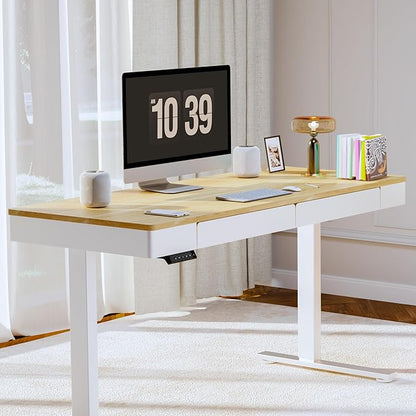 FLEXISPOT Q5 Standing Desk
