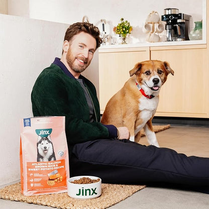 Jinx Kibble Sauce Bundle - Beef (2 Pack)