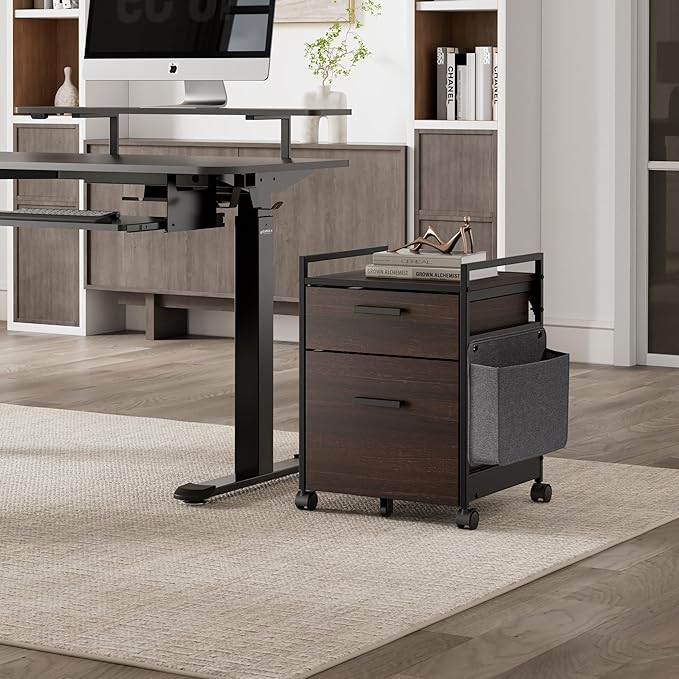 EUREKA ERGONOMIC 2-Drawer Mobile File Cabinet