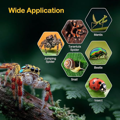 Large Jumping Spider Enclosure Kit,Escape Proof Reptile Tank,Praying Mantis Terrariums,Transparent Acrylic Bug Habitat,Arboreal Tarantula Cribs Cage,Insect Starter Container,Critter Keeper Sea