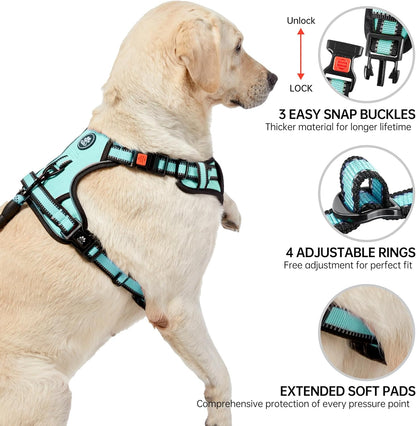 NESTROAD No Pull Dog Harness,Adjustable Oxford Dog Vest Harness with Leash,Reflective No-Choke Pet Harness with Easy Control Soft Handle for Small Dogs(Small,Turquoise)